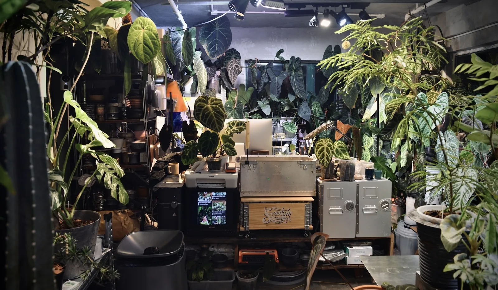 植仔銅鑼灣植物實驗室及門市實景