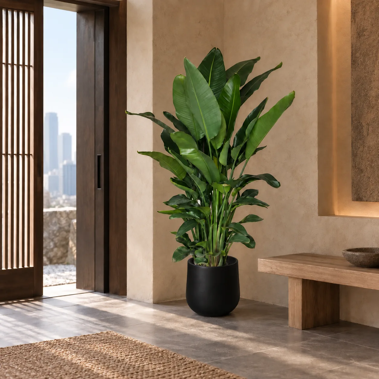 Large Bird of Paradise in a warm entrance