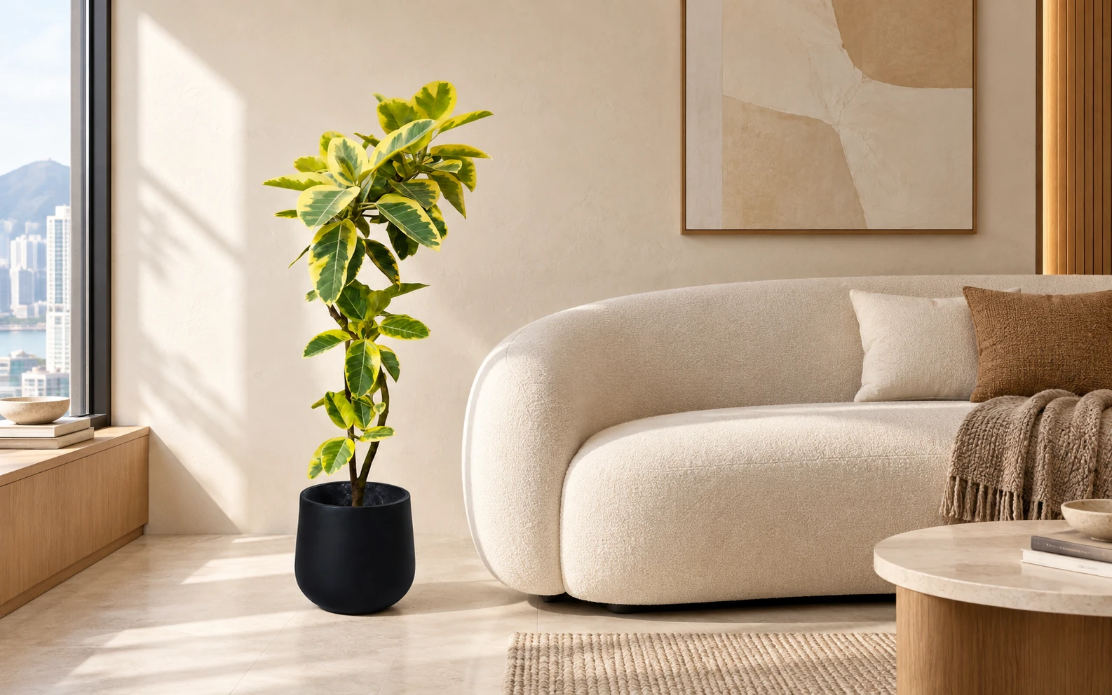 Golden Radiance fig beside a sofa in a warm contemporary living room