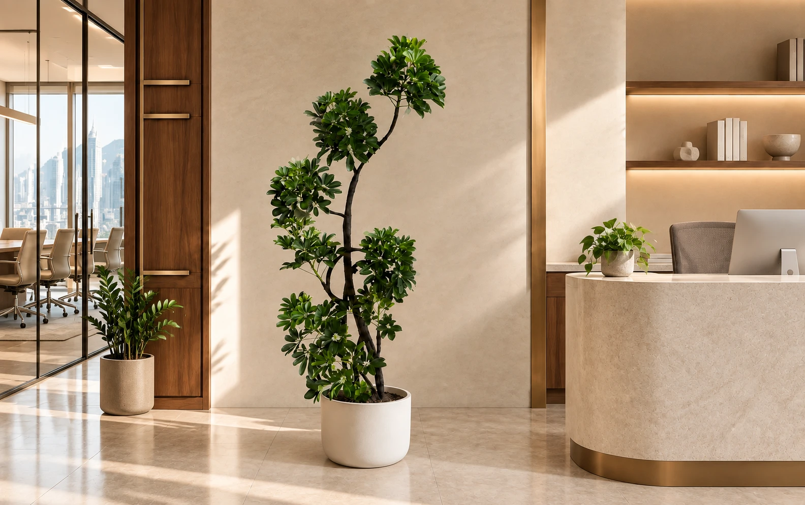 Large Schefflera with smaller plants in a warm contemporary office reception