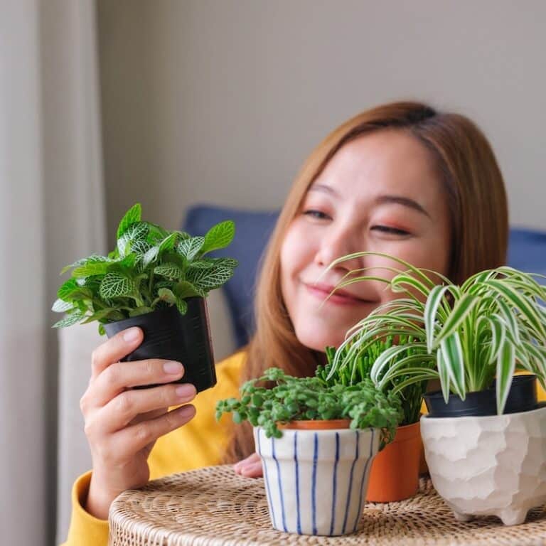 plant shop girl s