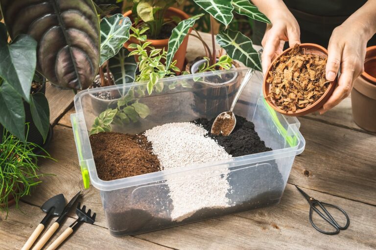 常見種植介質介紹