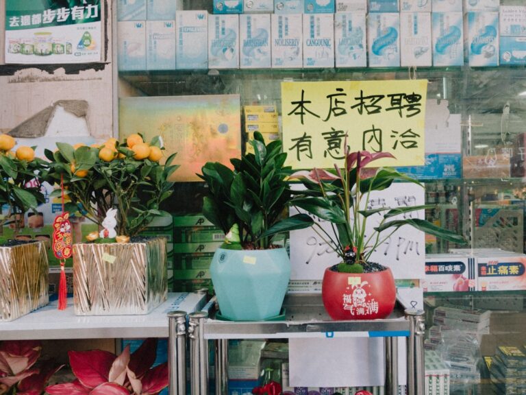 小空間層架植物配置