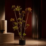 變葉木 / Croton｜高度 / Height: 約 1.8–2.1m / Approx. 1.8–2.1m｜效果圖 / representative image