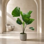 Plantjai 大型植物家居效果圖