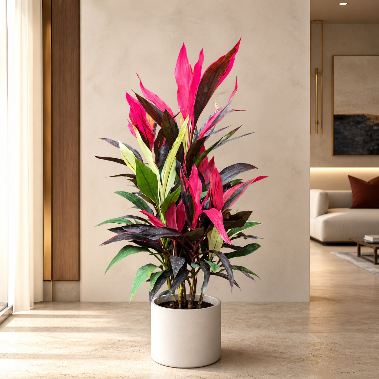 plantjai-pj-large-psp-000090-cordyline-dreamy-1-2-1-3m-ti-plant-effect-gallery-20260827-01-light-luxury-warm 夢幻朱蕉|大型座地植物(Cordyline fruticosa)— 植仔 Plantjai 香港觀葉植物