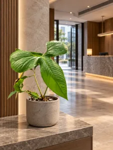 Anthurium draconopterum 大型植物擺放於香港精品酒店大堂室內空間的情境示意圖 / Anthurium draconopterum large indoor plant styled in a Hong Kong boutique hotel lobby interior