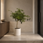 Australian finger lime | Large floor plant 大型植物置於日式侘寂玄關的情境示意圖 / Australian finger lime | Large floor plant styled in a Japanese wabi-sabi entryway