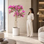 Bougainvillea | Large floor plant 大型植物置於半山低飽和輕奢家居人物觀賞場景，一位人物正在自然觀賞植物的情境示意圖 / Bougainvillea | Large floor plant styled in a Mid-Levels quiet-luxury home with an observer, with one person naturally observing it