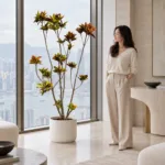 Croton | Large floor plant 大型植物置於半山低飽和輕奢家居人物觀賞場景，一位人物正在自然觀賞植物的情境示意圖 / Croton | Large floor plant styled in a Mid-Levels quiet-luxury home with an observer, with one person naturally observing it