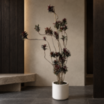 Dwarf ti plant | Large floor plant 大型植物置於日式侘寂玄關的情境示意圖 / Dwarf ti plant | Large floor plant styled in a Japanese wabi-sabi entryway