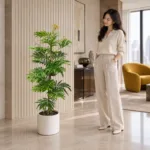 Everfresh / monkey earring tree | Large floor plant 大型植物置於半山低飽和輕奢家居人物觀賞場景，一位人物正在自然觀賞植物的情境示意圖 / Everfresh / monkey earring tree | Large floor plant styled in a Mid-Levels quiet-luxury home with an observer, with one person naturally observing it
