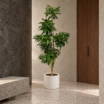 Koto camphor tree | Large floor plant 大型植物置於日式侘寂玄關的情境示意圖 / Koto camphor tree | Large floor plant styled in a Japanese wabi-sabi entryway