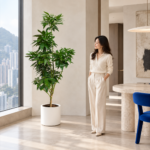 Koto camphor tree | Large floor plant 大型植物置於半山低飽和輕奢家居人物觀賞場景，一位人物正在自然觀賞植物的情境示意圖 / Koto camphor tree | Large floor plant styled in a Mid-Levels quiet-luxury home with an observer, with one person naturally observing it