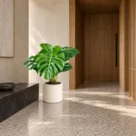 Monstera deliciosa 大型植物置於日式侘寂玄關的情境示意圖 / Monstera deliciosa styled in a Japanese wabi-sabi entryway