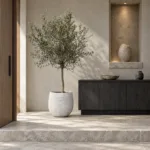 Olive tree 大型植物置於日式侘寂玄關的情境示意圖 / Olive tree styled in a Japanese wabi-sabi entryway