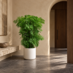 Polyscias fruticosa 大型植物置於日式侘寂玄關的情境示意圖 / Polyscias fruticosa styled in a Japanese wabi-sabi entryway