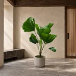 Ruffled fan palm 大型植物置於日式侘寂玄關的情境示意圖 / Ruffled fan palm styled in a Japanese wabi-sabi entryway