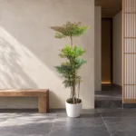 Sacred bamboo 大型植物置於日式侘寂玄關的情境示意圖 / Sacred bamboo styled in a Japanese wabi-sabi entryway