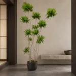 Song of Jamaica dracaena 大型植物置於日式侘寂玄關的情境示意圖 / Song of Jamaica dracaena styled in a Japanese wabi-sabi entryway