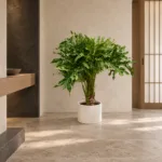 Split-leaf philodendron | Large floor plant 大型植物置於日式侘寂玄關的情境示意圖 / Split-leaf philodendron | Large floor plant styled in a Japanese wabi-sabi entryway